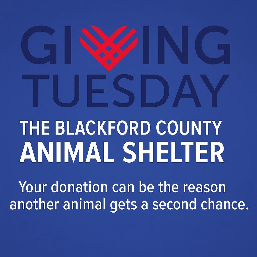 Giving Tuesday