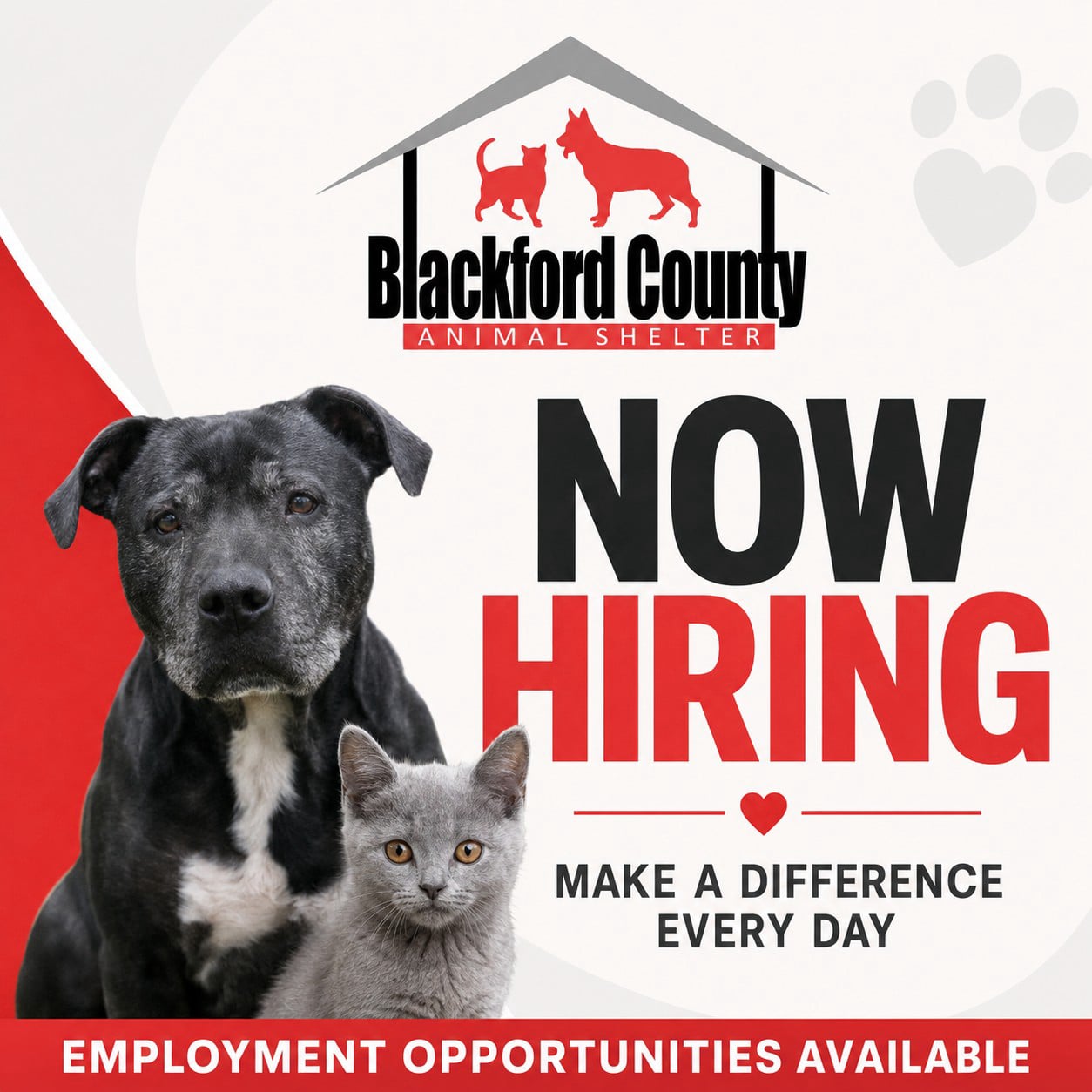 Now Hiring