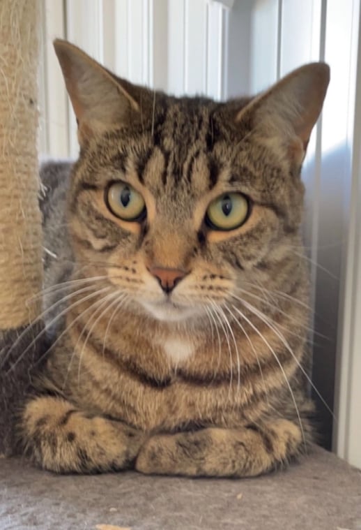 Boardwalk