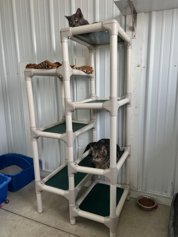 Kuranda Tower at BCAS