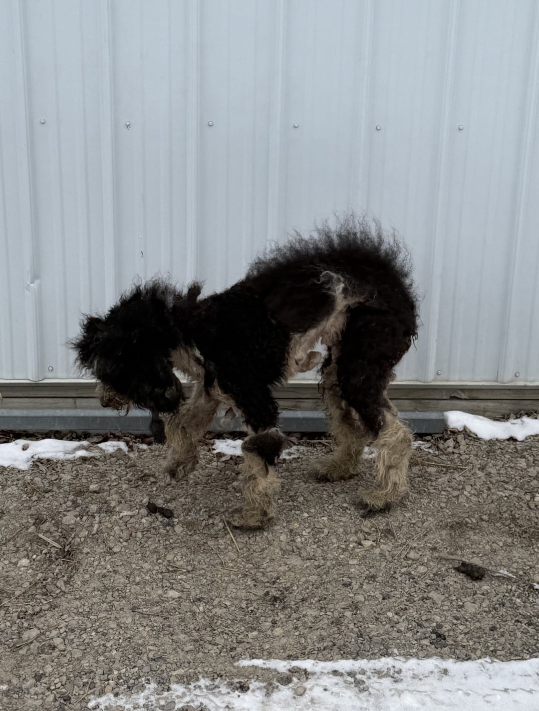 Mary Needs a Sponsor