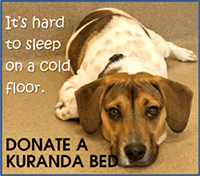 Donate Kuranda Bed