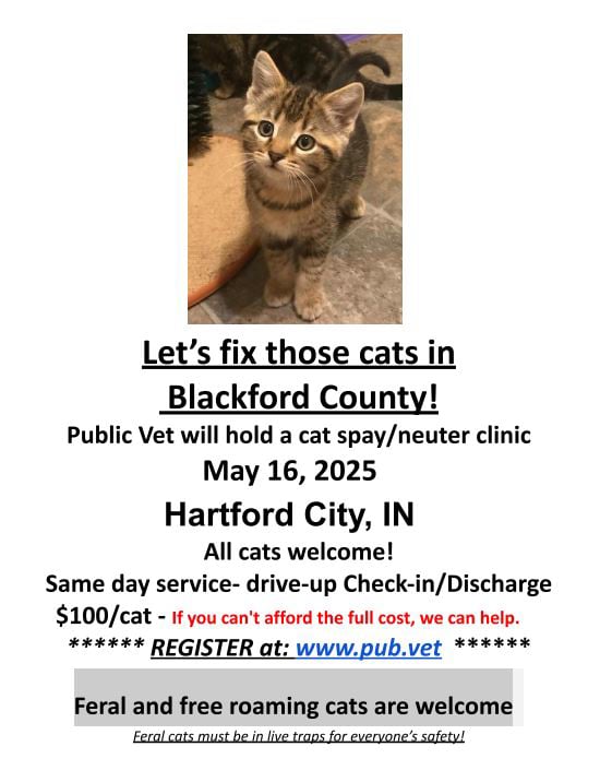Public Vet